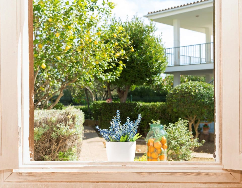 Patio, Garden, Garden view