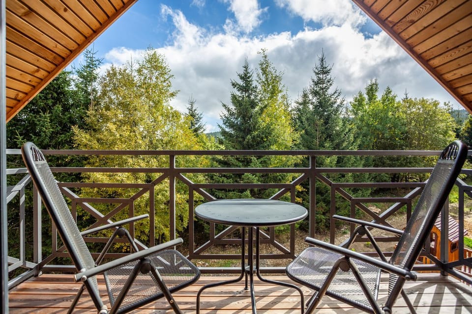 Ski Chalet Klínovec Apartment in Erzgebirgskreis