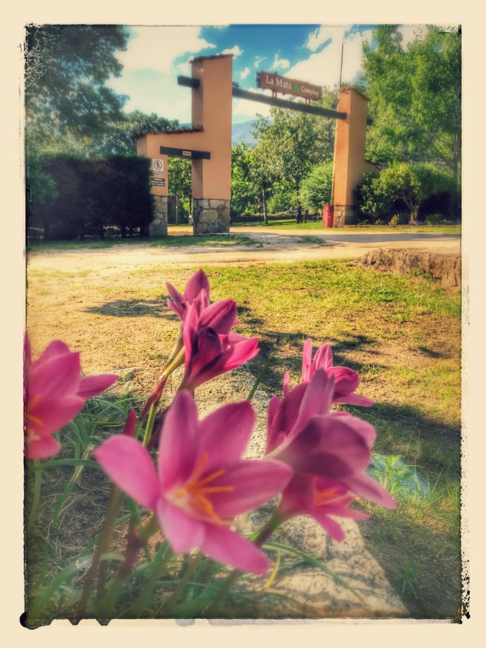Complejo Camping La Mata Campground/ 
RV Resort in Castile and León