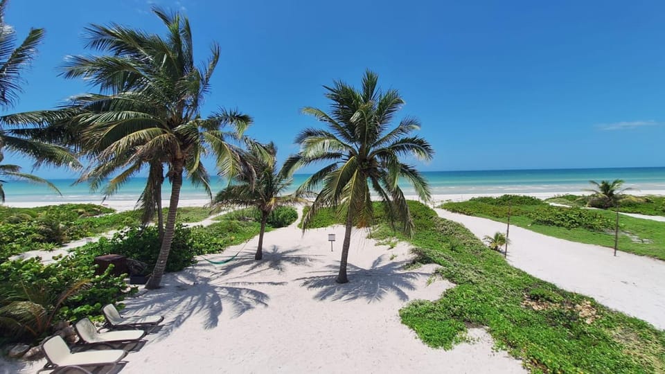 Natural landscape, Beach, Sea view