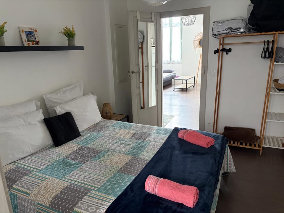 Appartement lumineux centre Pau proche château et gare Apartment in Pau