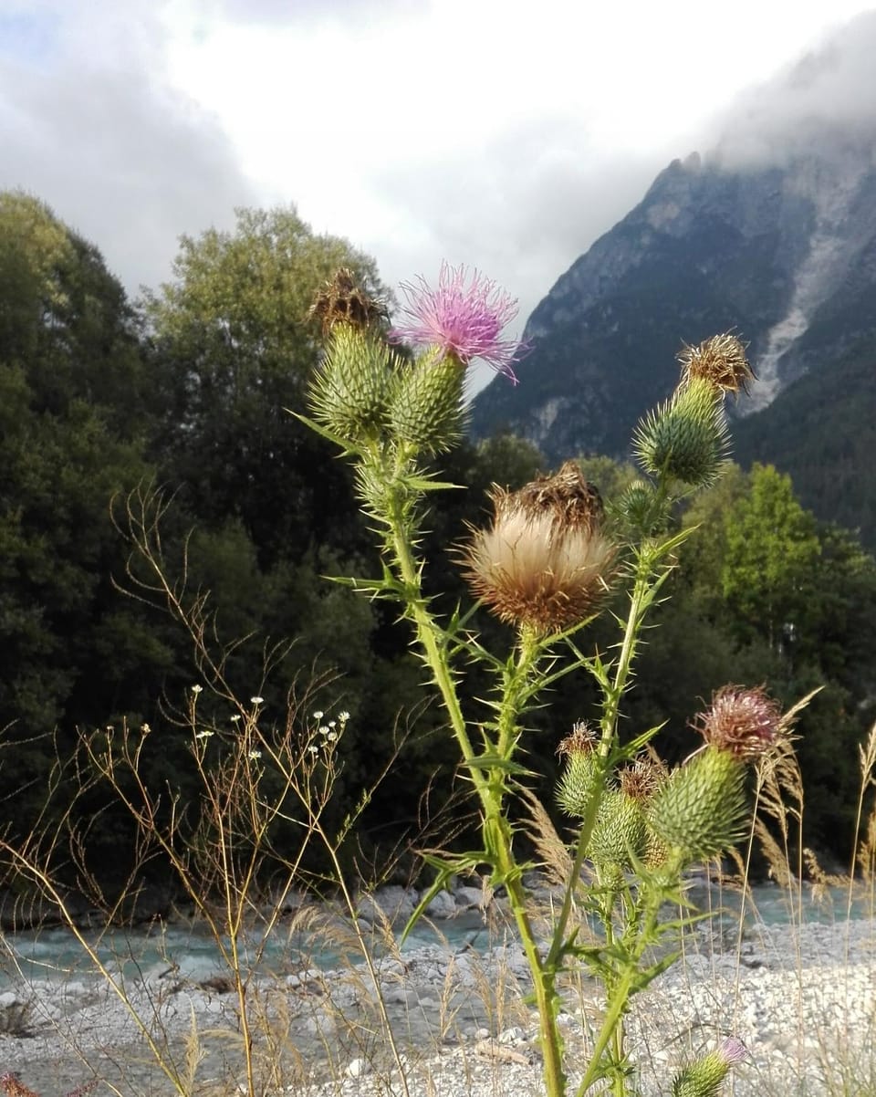 Natural landscape, Hiking