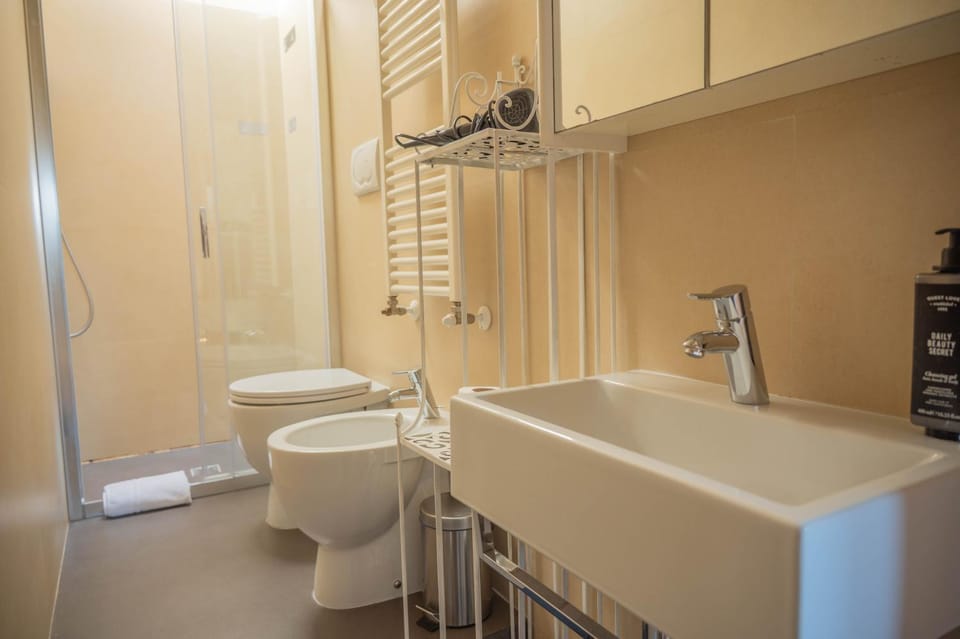 Shower, Toilet, Bathroom, bidet