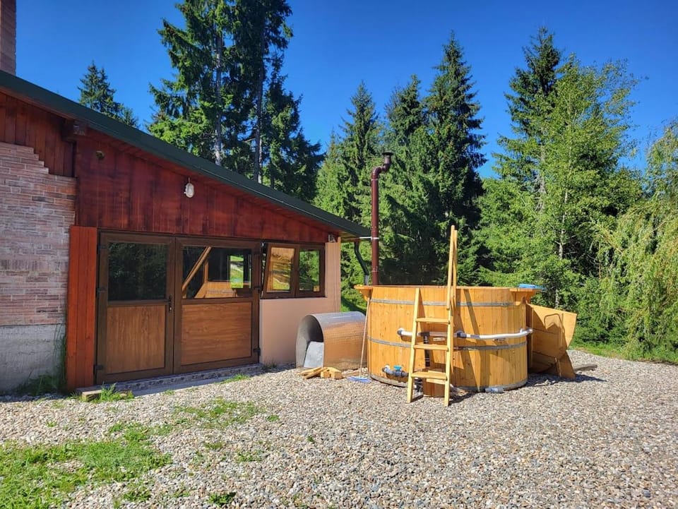CABANA ZIMBROAIA 8 camere -Muntii Bârgăului, Transilvania Chalet in Romania