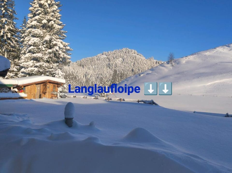 Natural landscape