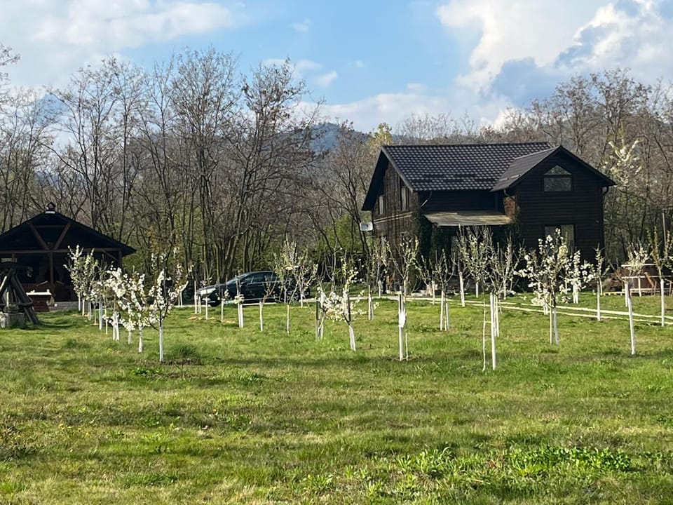 Property building, Spring, Day