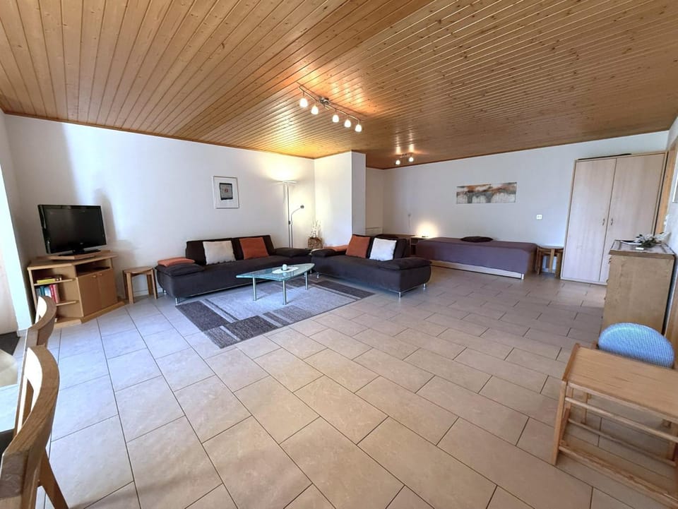 Salute 117 Apartment in Canton of Valais