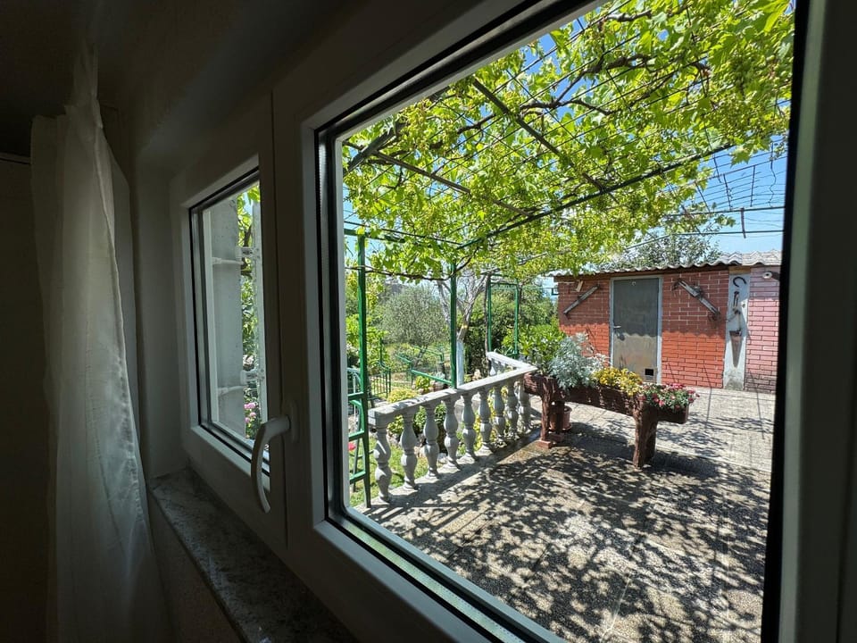 Garden view