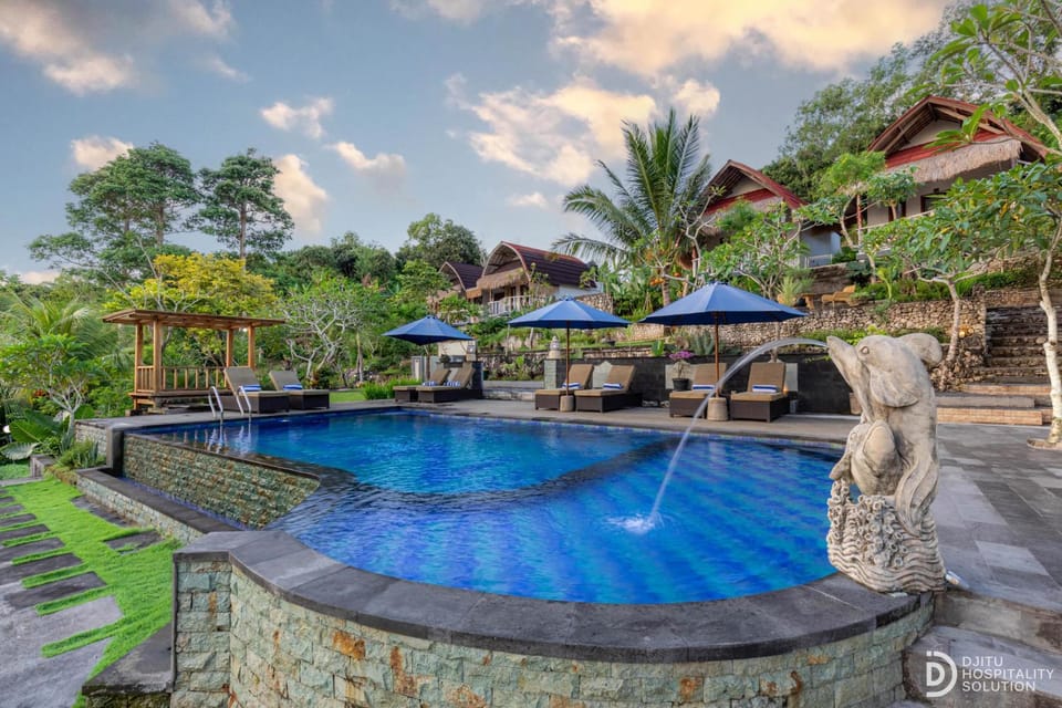 Garden, Swimming pool, sunbed