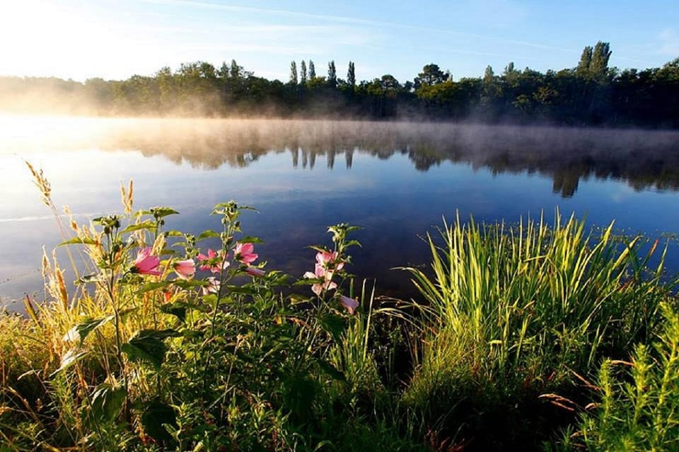Natural landscape
