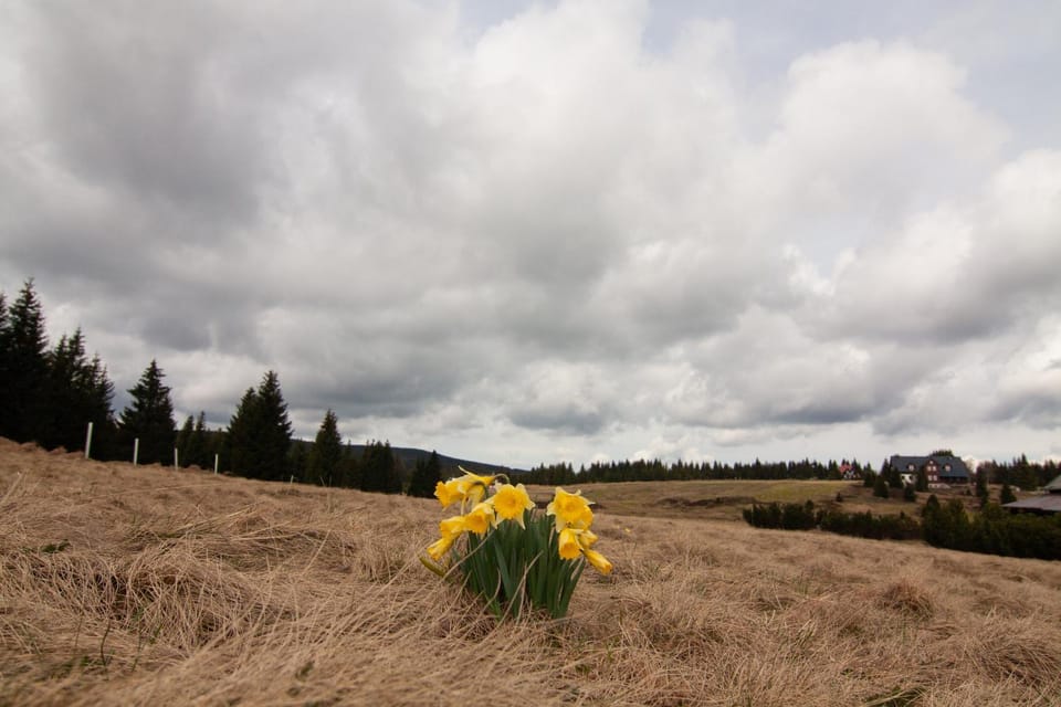 Natural landscape