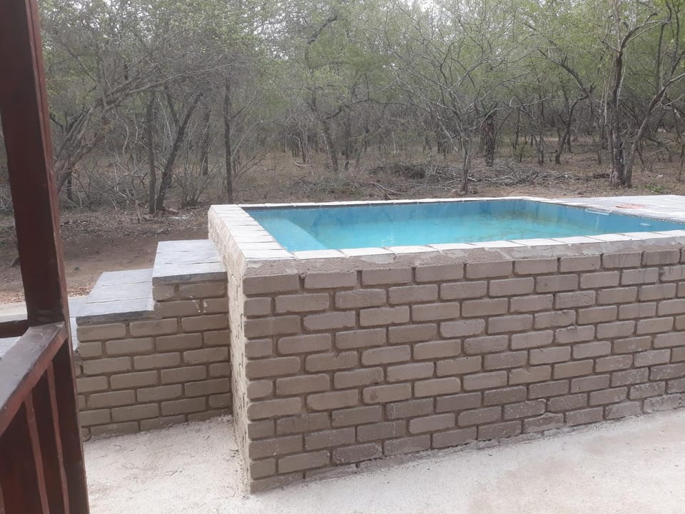Garden, On site, Pool view, Swimming pool