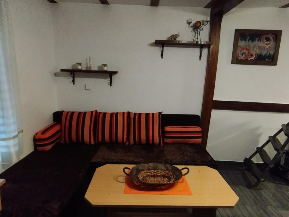 DMK House in Zlatibor District, Serbia