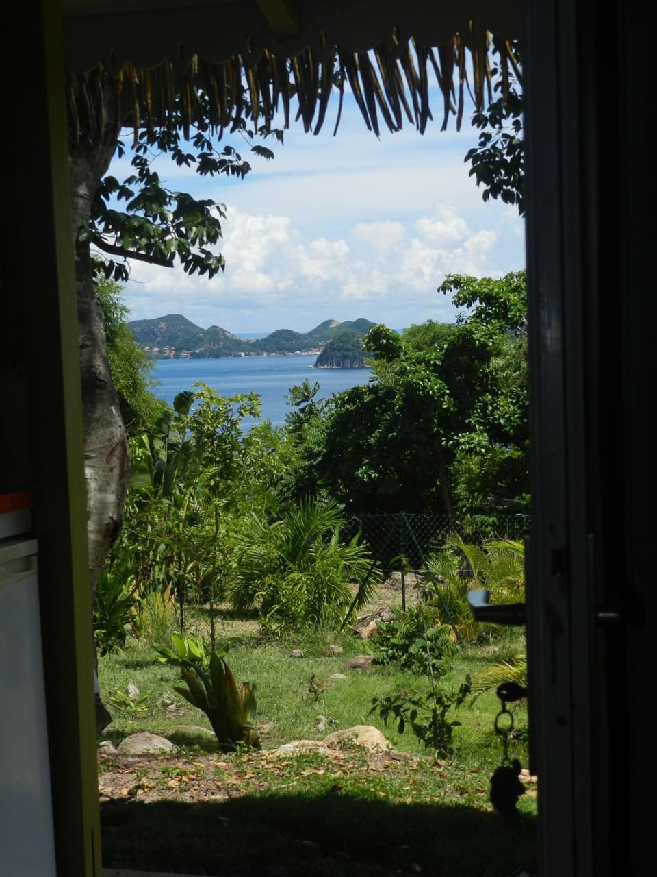 Garden view