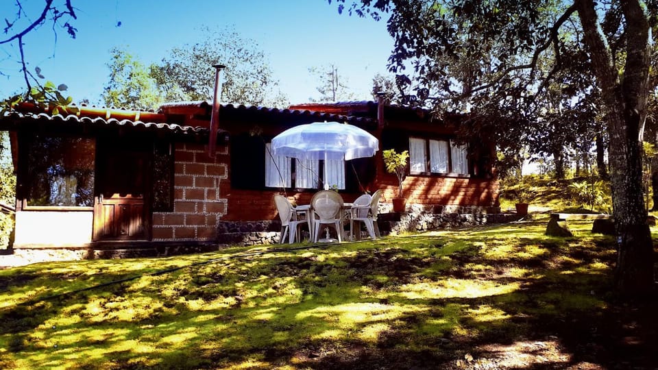 Patio, BBQ facilities, Garden