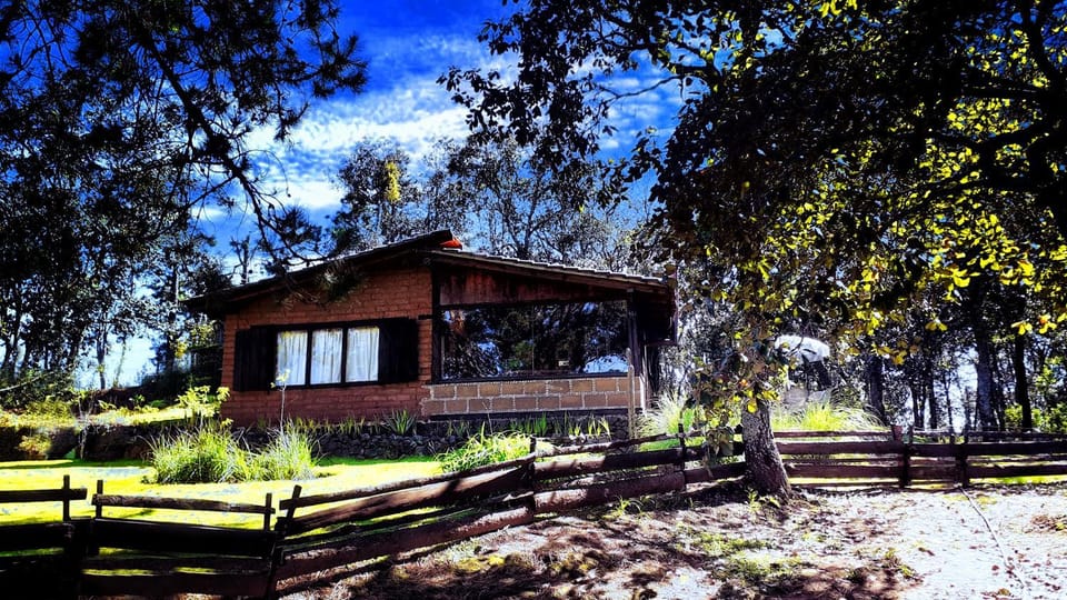 Property building, Facade/entrance, Garden