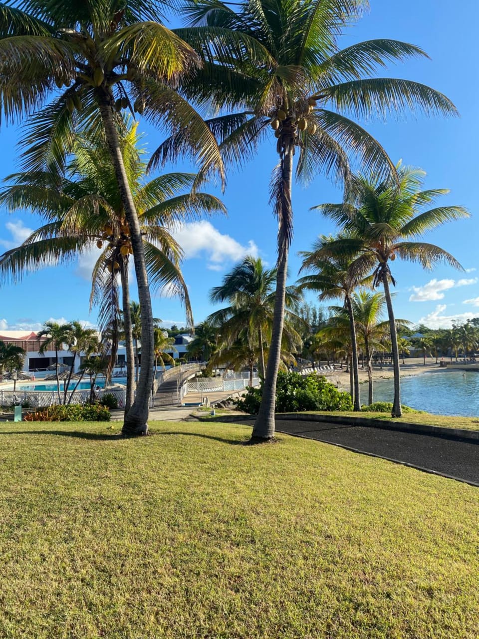 Beach, Garden view, Sea view