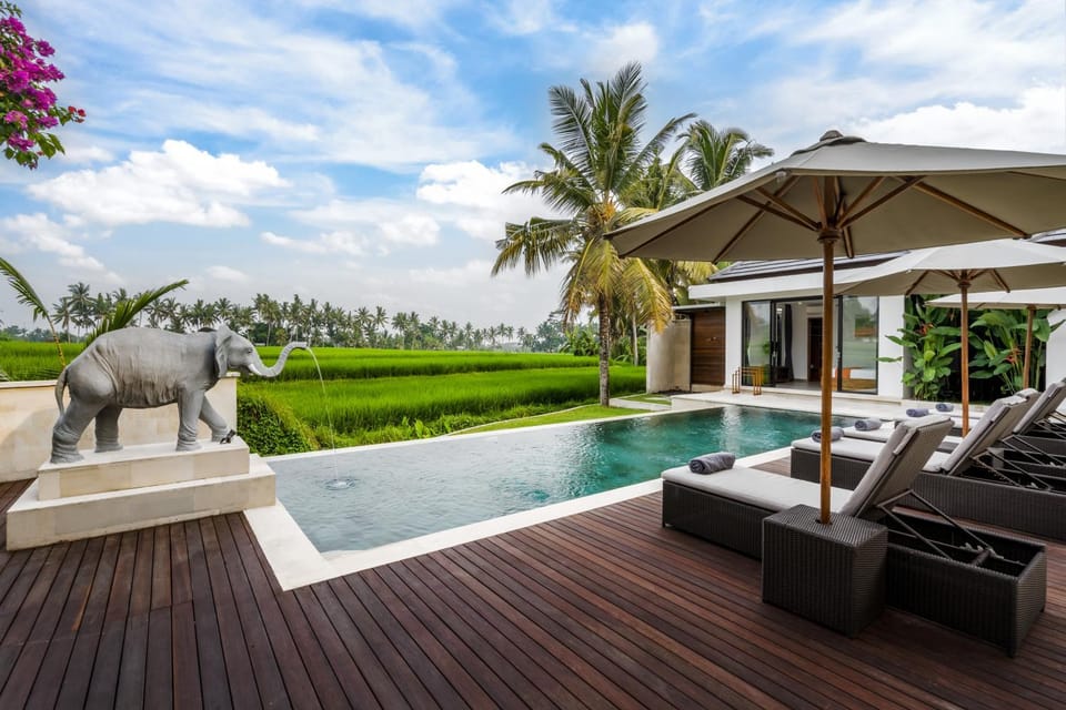 Natural landscape, Pool view, Swimming pool, sunbed