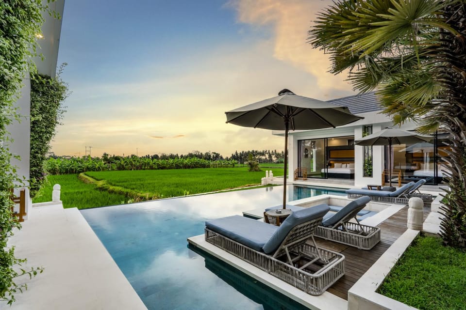 Garden, Garden view, Pool view, Swimming pool, sunbed