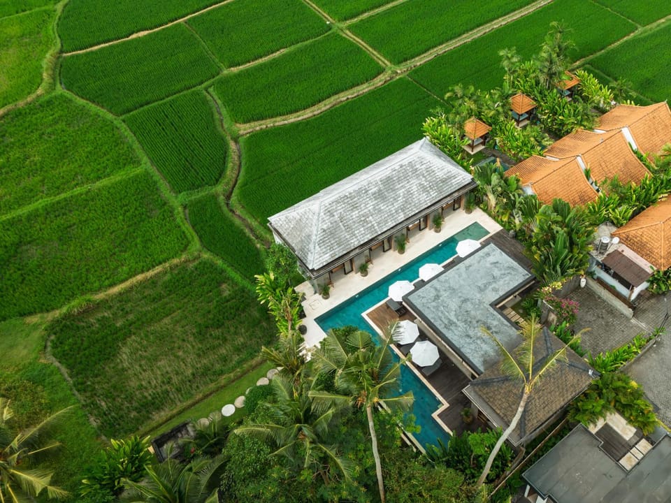 Property building, Natural landscape, Bird's eye view, Swimming pool