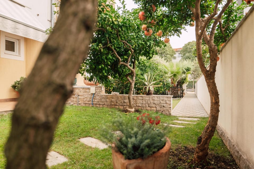 Garden, Garden view