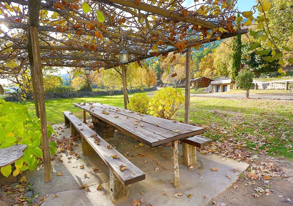 BBQ facilities