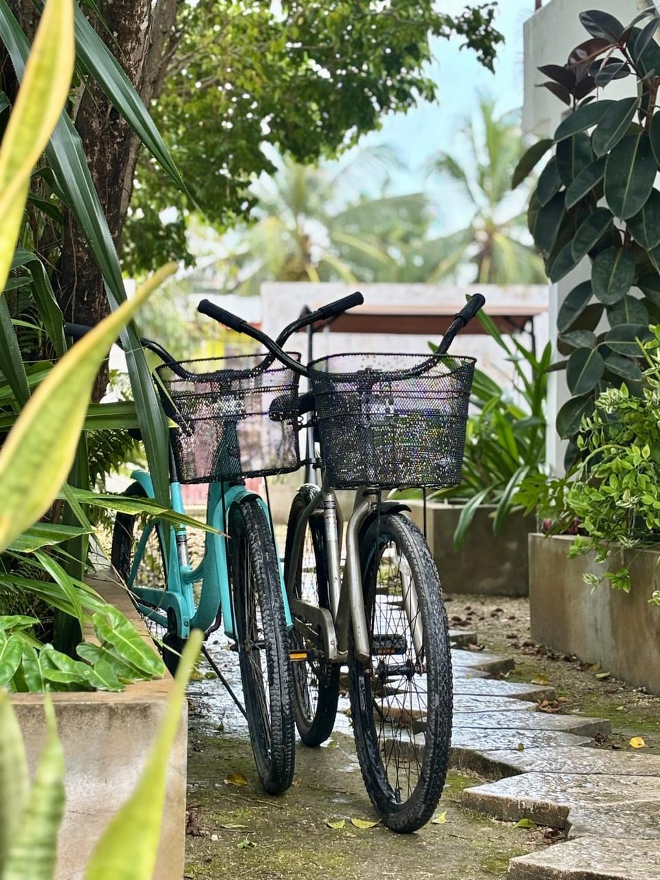 Garden, Cycling