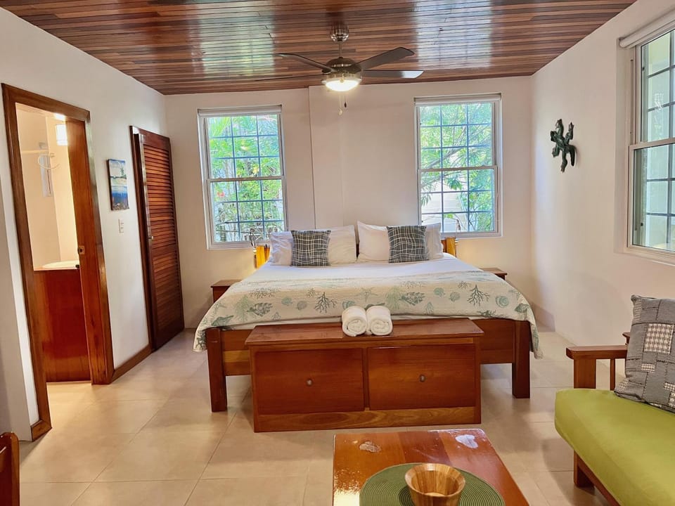 Caribbean Beach Suite House in Belize District