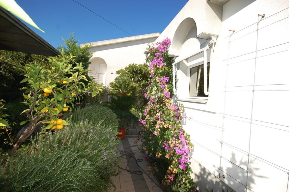 Property building, Patio, Facade/entrance, Garden