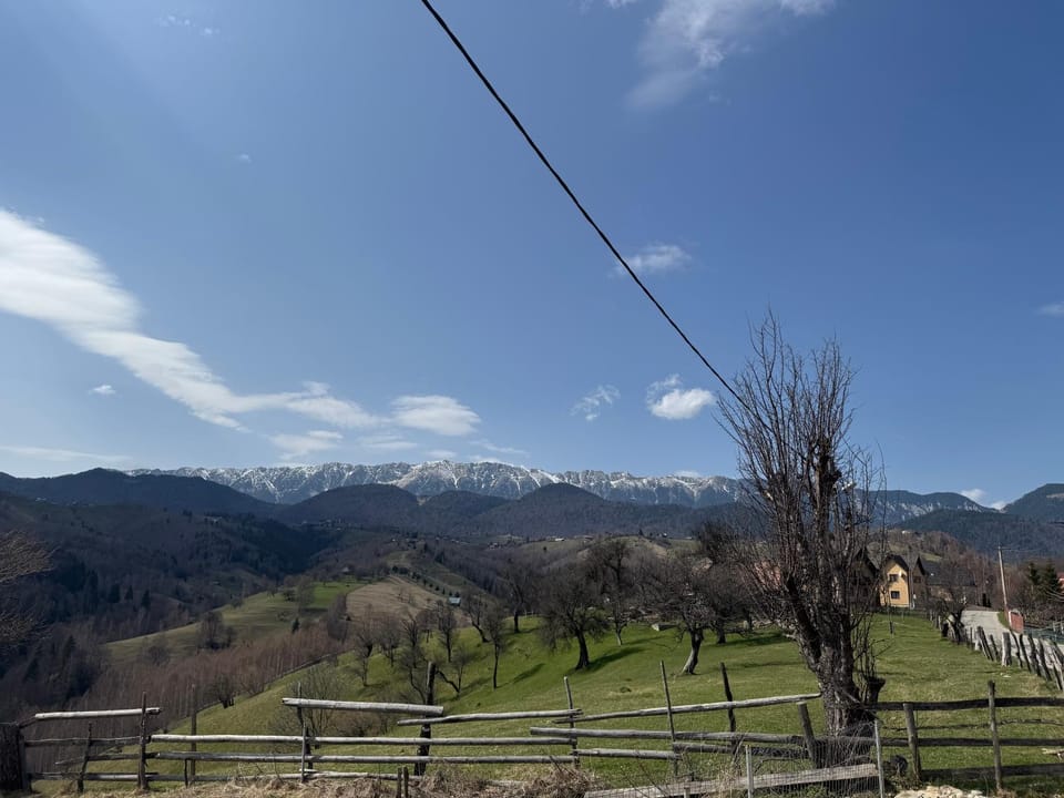 Transylvanian Views Nature lodge in Brașov County