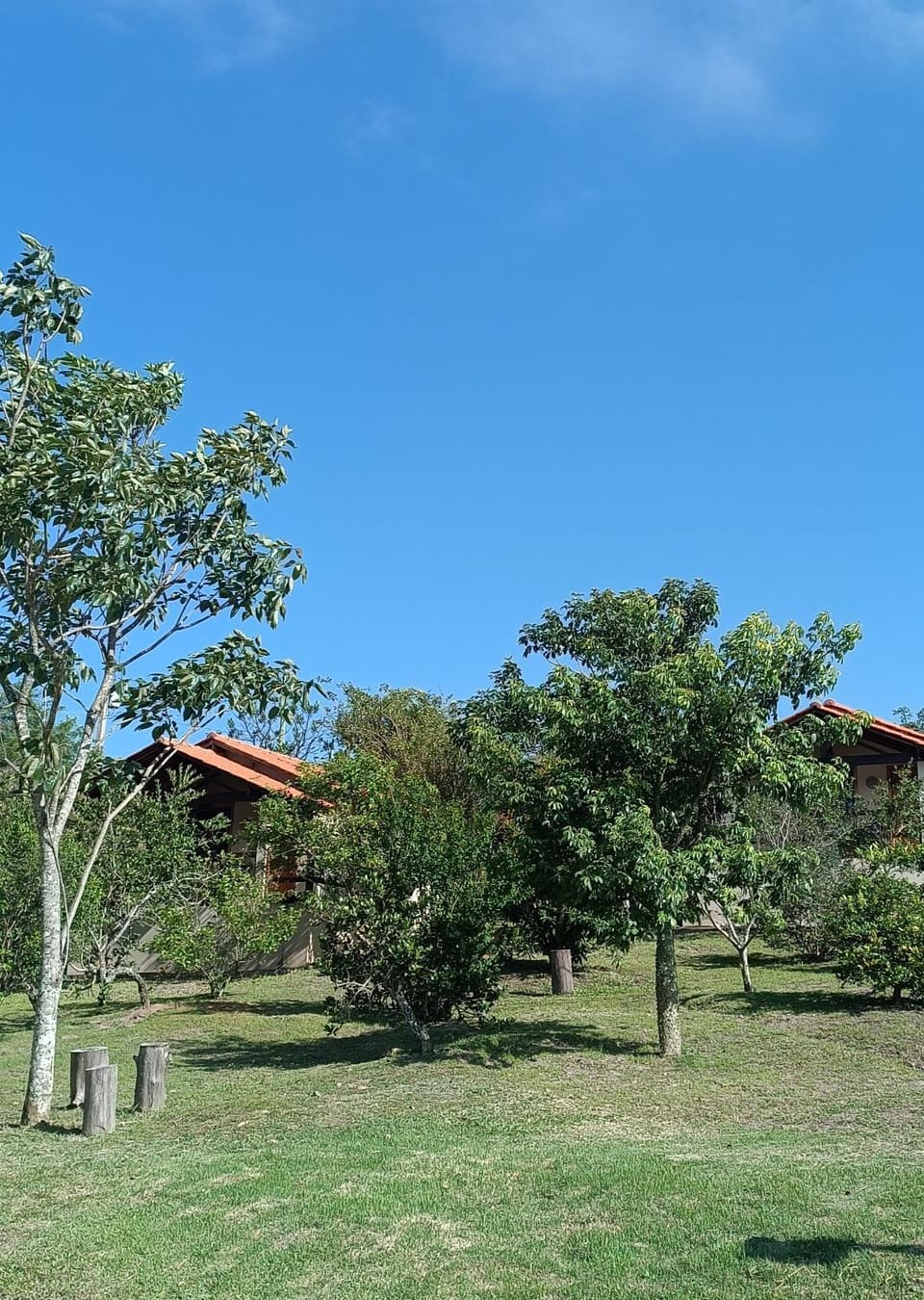 Pousada Toca dos Coelhos - Ambiente Zen, Natureza e Terapias Nature lodge in State of Rio de Janeiro