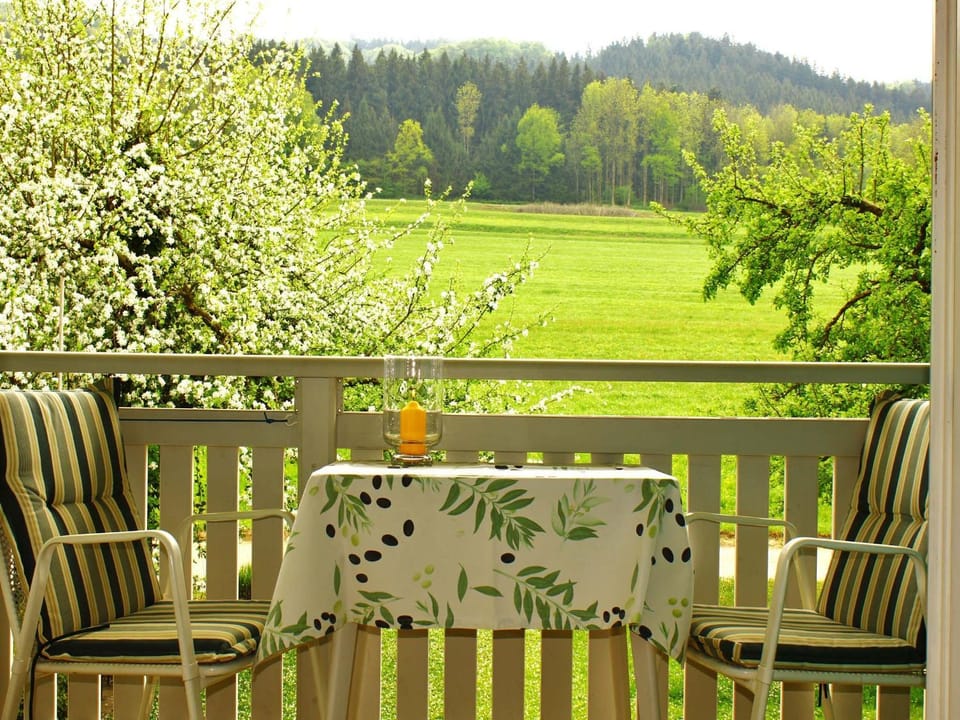Haus Irmgard Apartment in Salzburgerland
