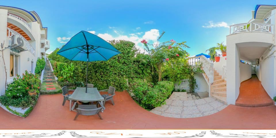 Patio, Garden, Garden view