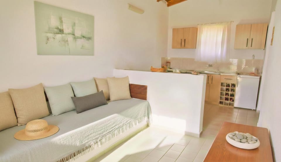 Kitchen or kitchenette, Living room, Seating area, Dining area, stove