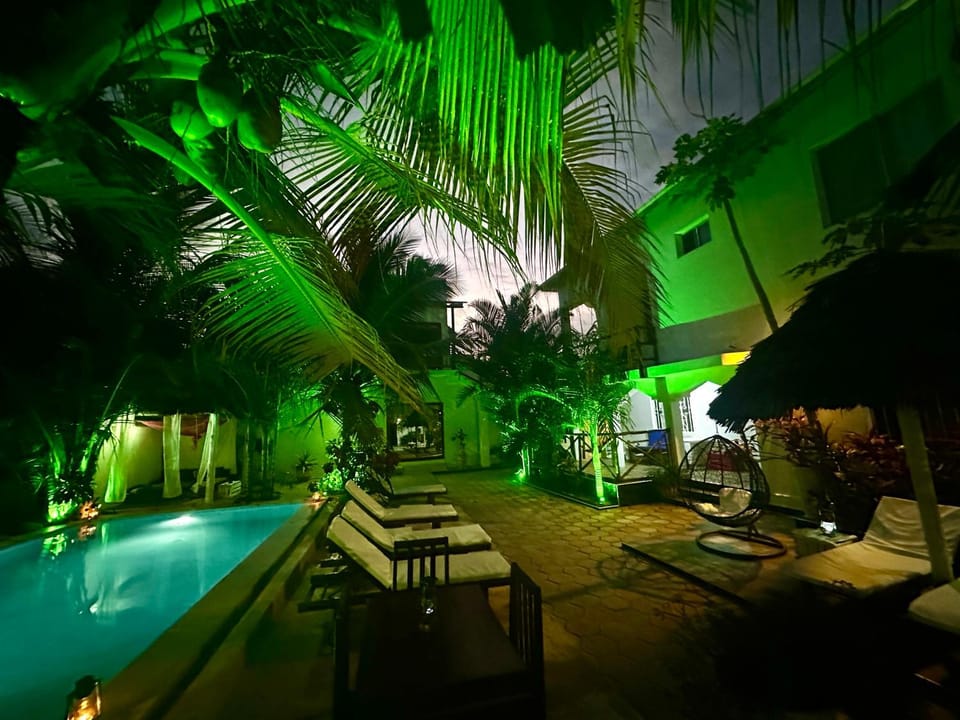 Patio, Night, Swimming pool, sunbed