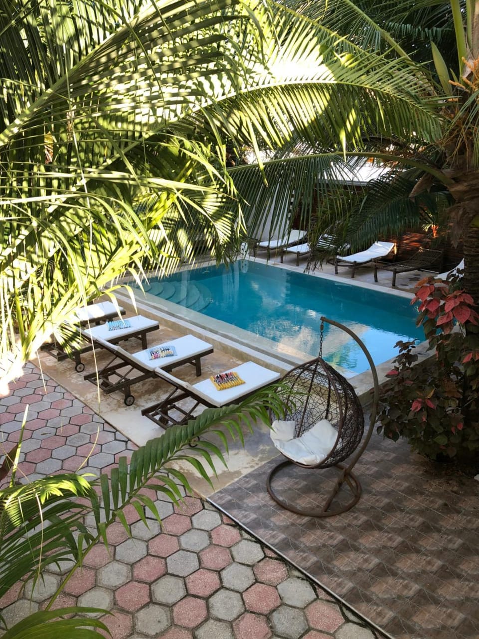 Day, Garden, Garden view, Pool view, Swimming pool, sunbed
