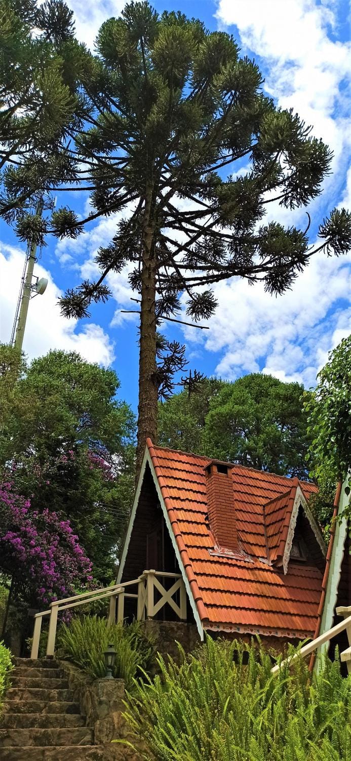 Garden, Garden view