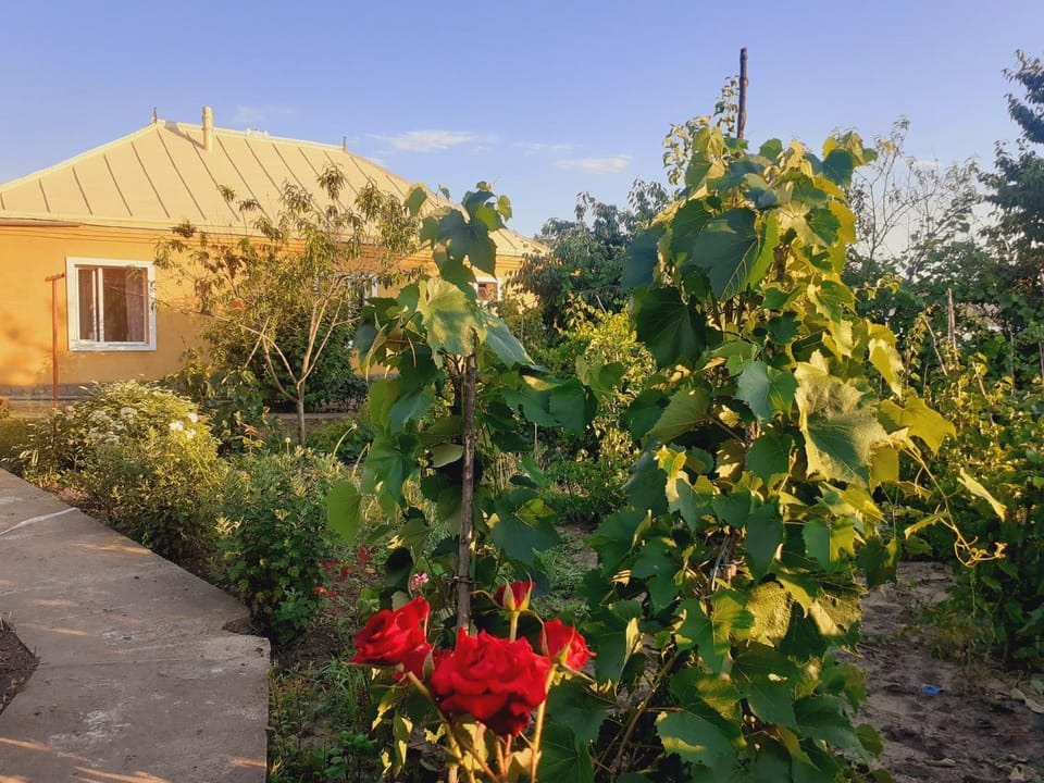 Property building, Spring, Day, Garden, Garden view