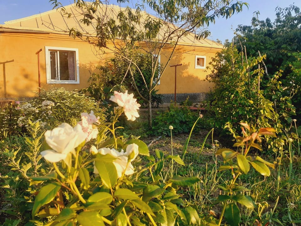 Property building, Spring, Day, Garden, Garden view