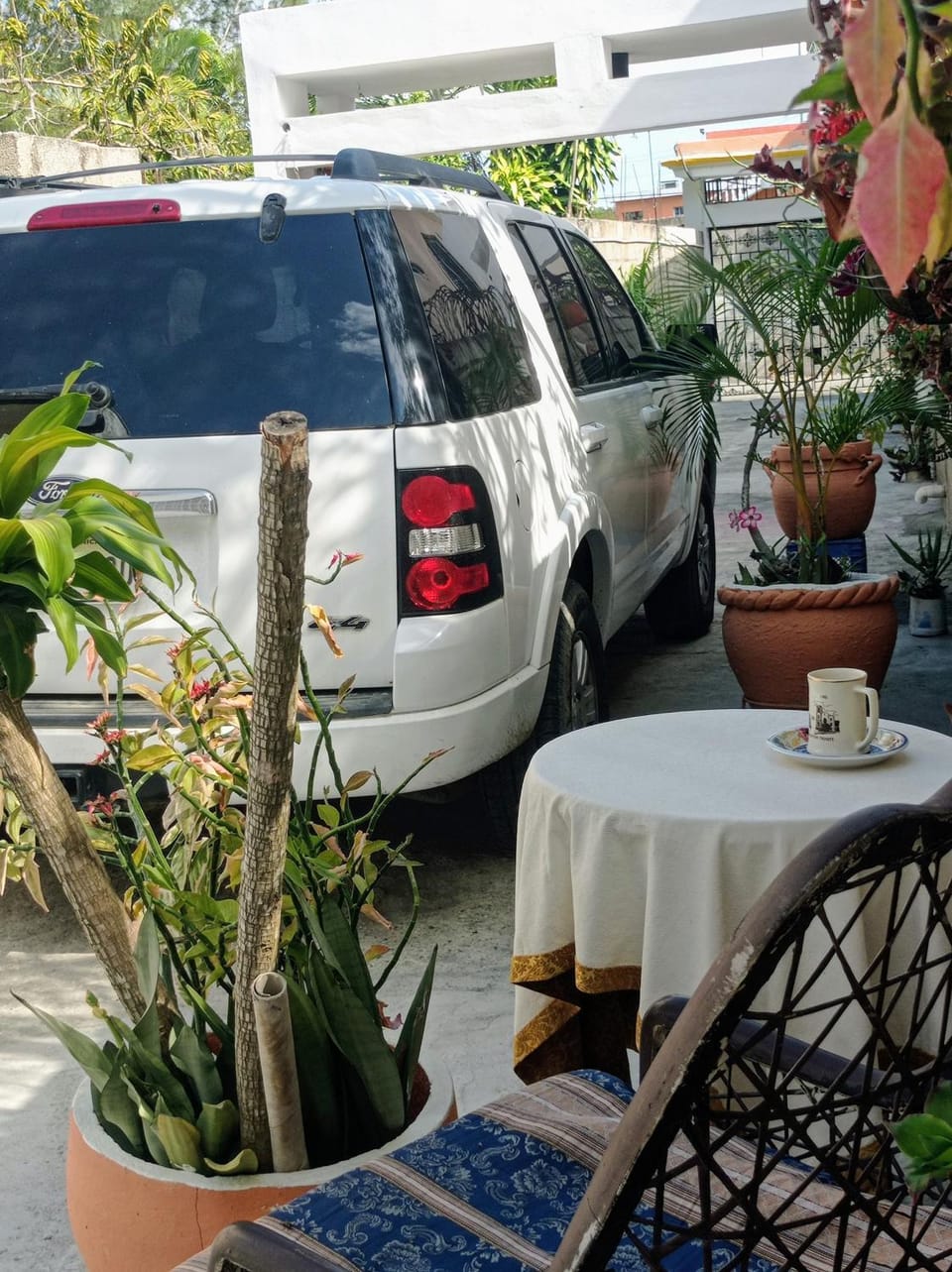Garden, Seating area, Parking