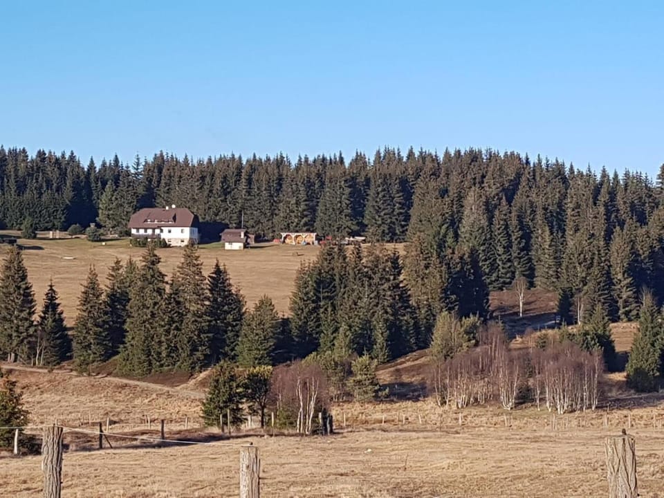 Property building, Neighbourhood