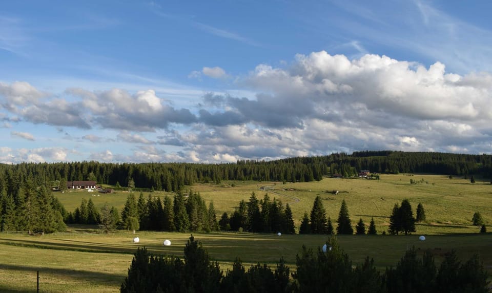 Natural landscape, Garden, Mountain view, Mountain view