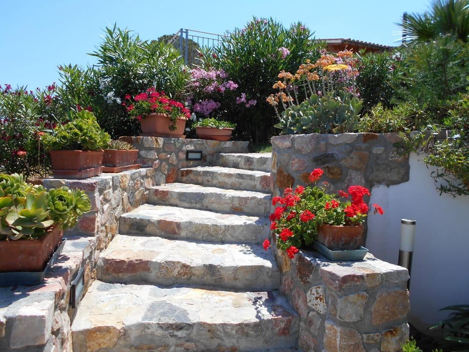 Apartment in villa 2 to 4 persons with large garden stella Apartment in Capoliveri