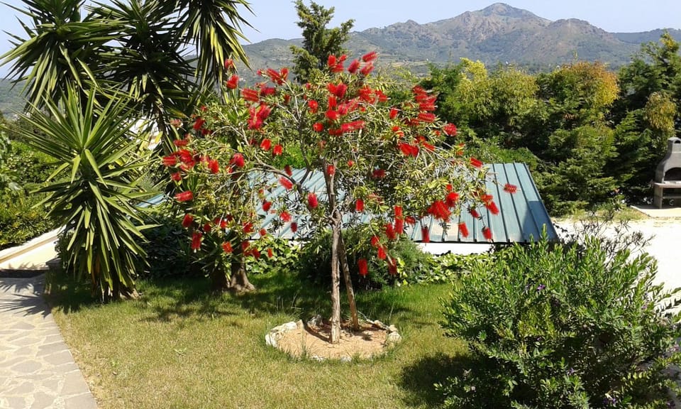 Apartment in villa 2 to 4 persons with large garden stella Apartment in Capoliveri