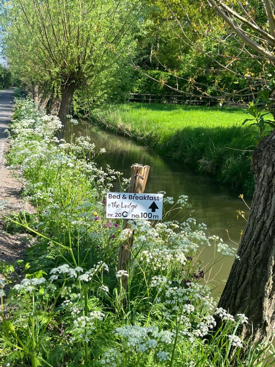 @TheLodge Bed and Breakfast in Utrecht