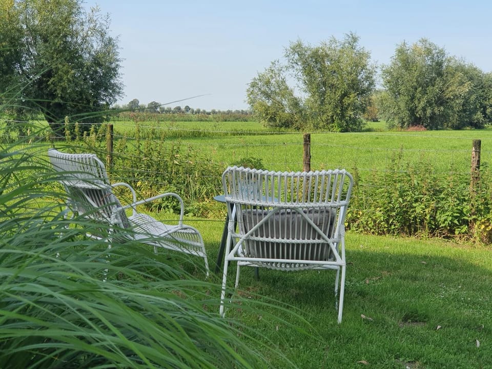 Garden, Balcony/Terrace