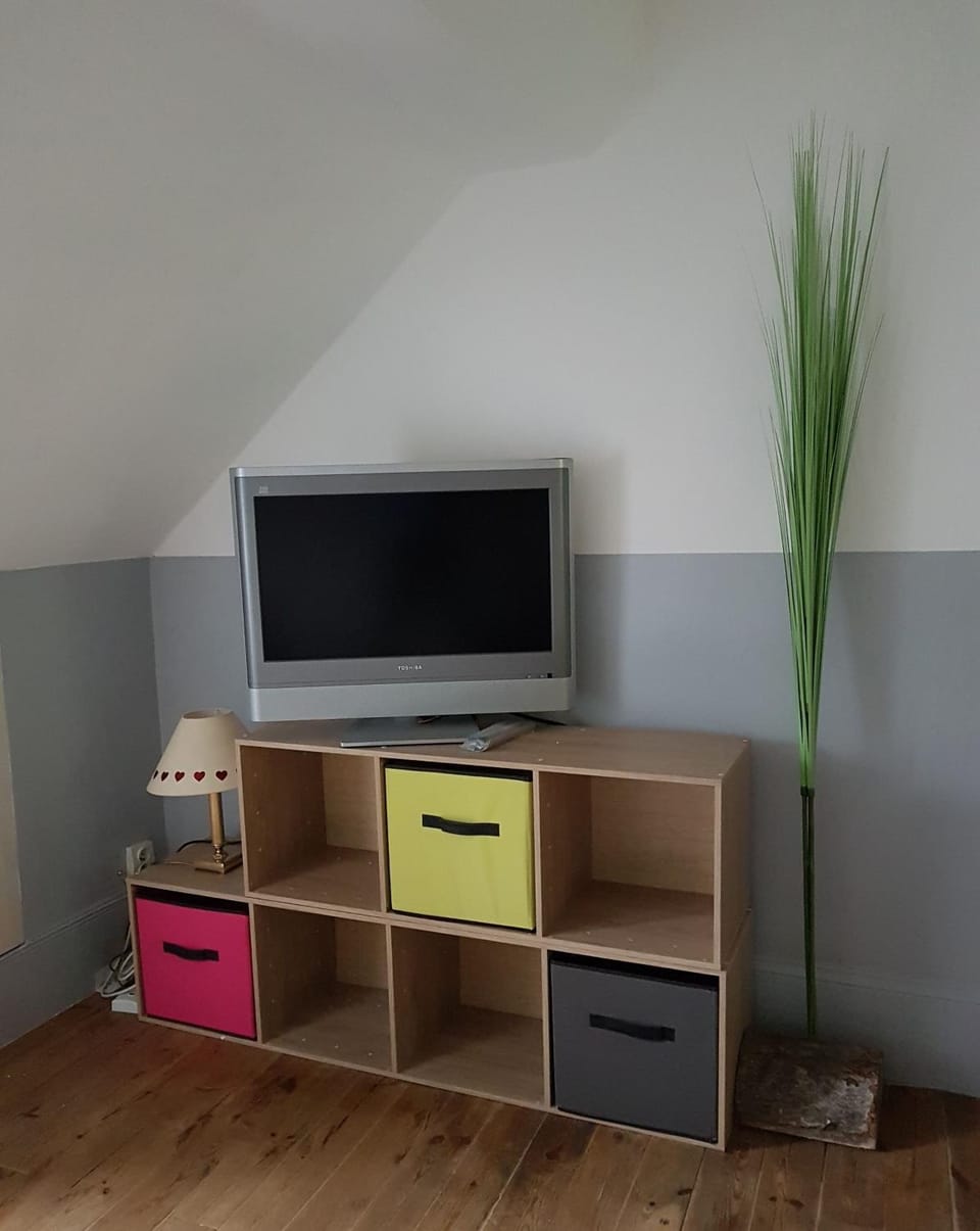 TV and multimedia