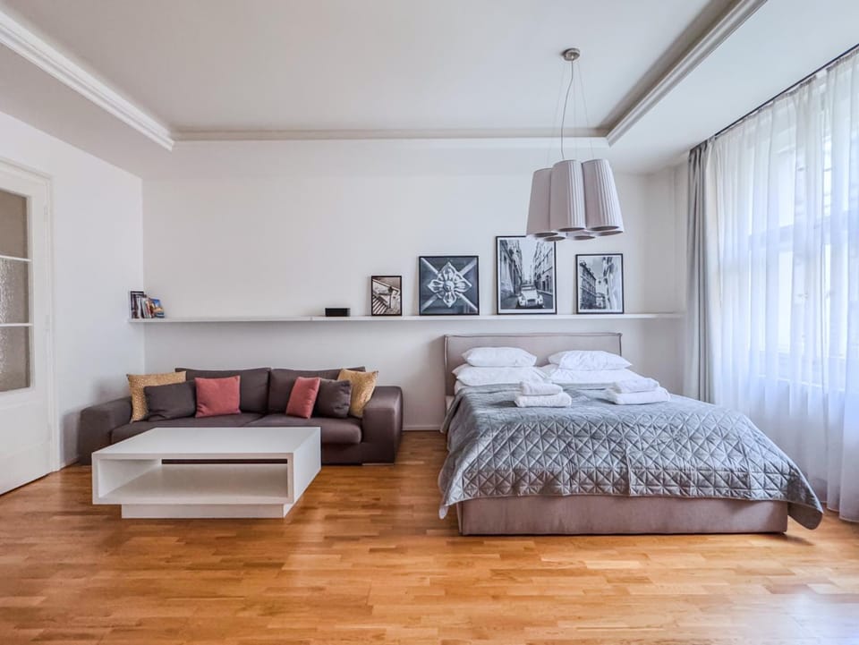 UNIQUE Old Town apartments at Palace Dlouha Apartment in Prague