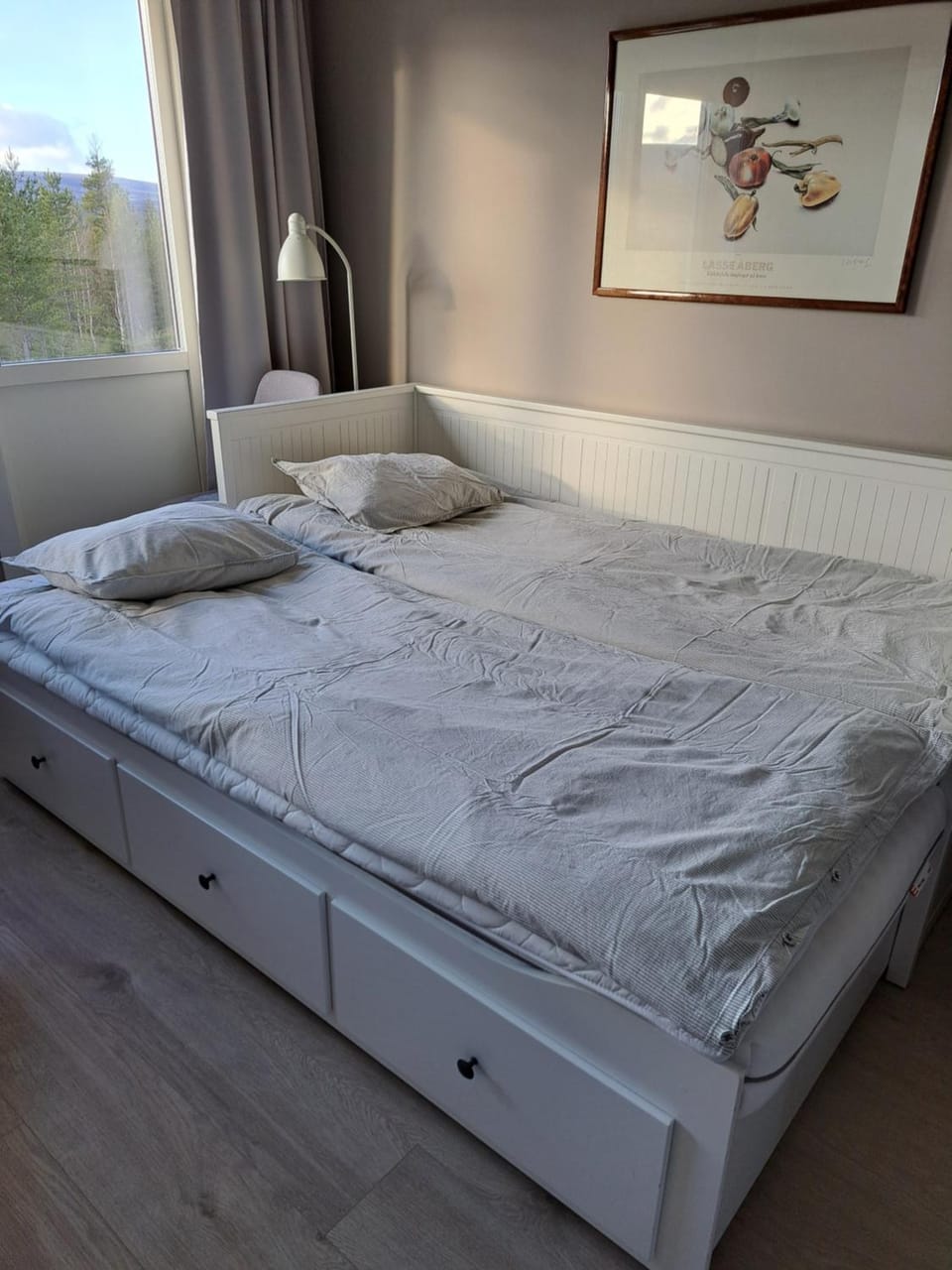 Bed