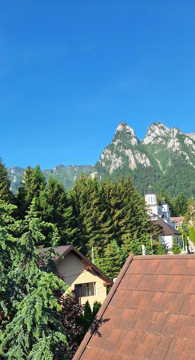 Villa Ermitage Bed and Breakfast in Prahova, Romania